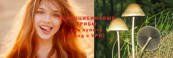 трава Белая Холуница
