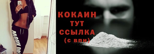 spice Богородицк