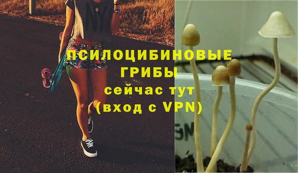 ешки Богородск