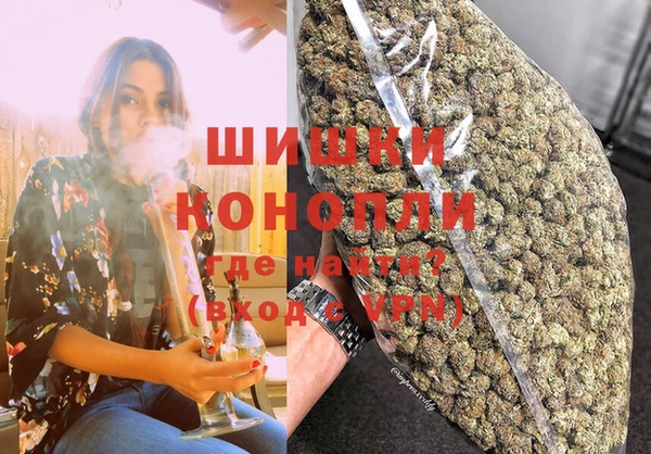 spice Богородицк
