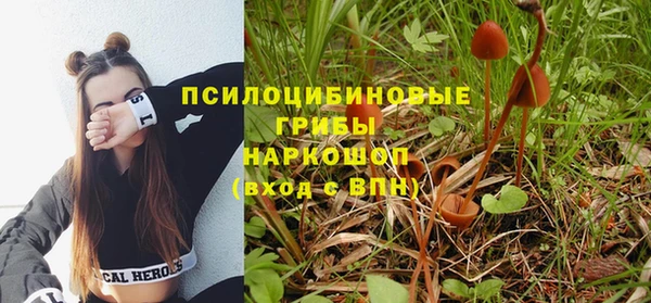 PSILOCYBIN Бородино